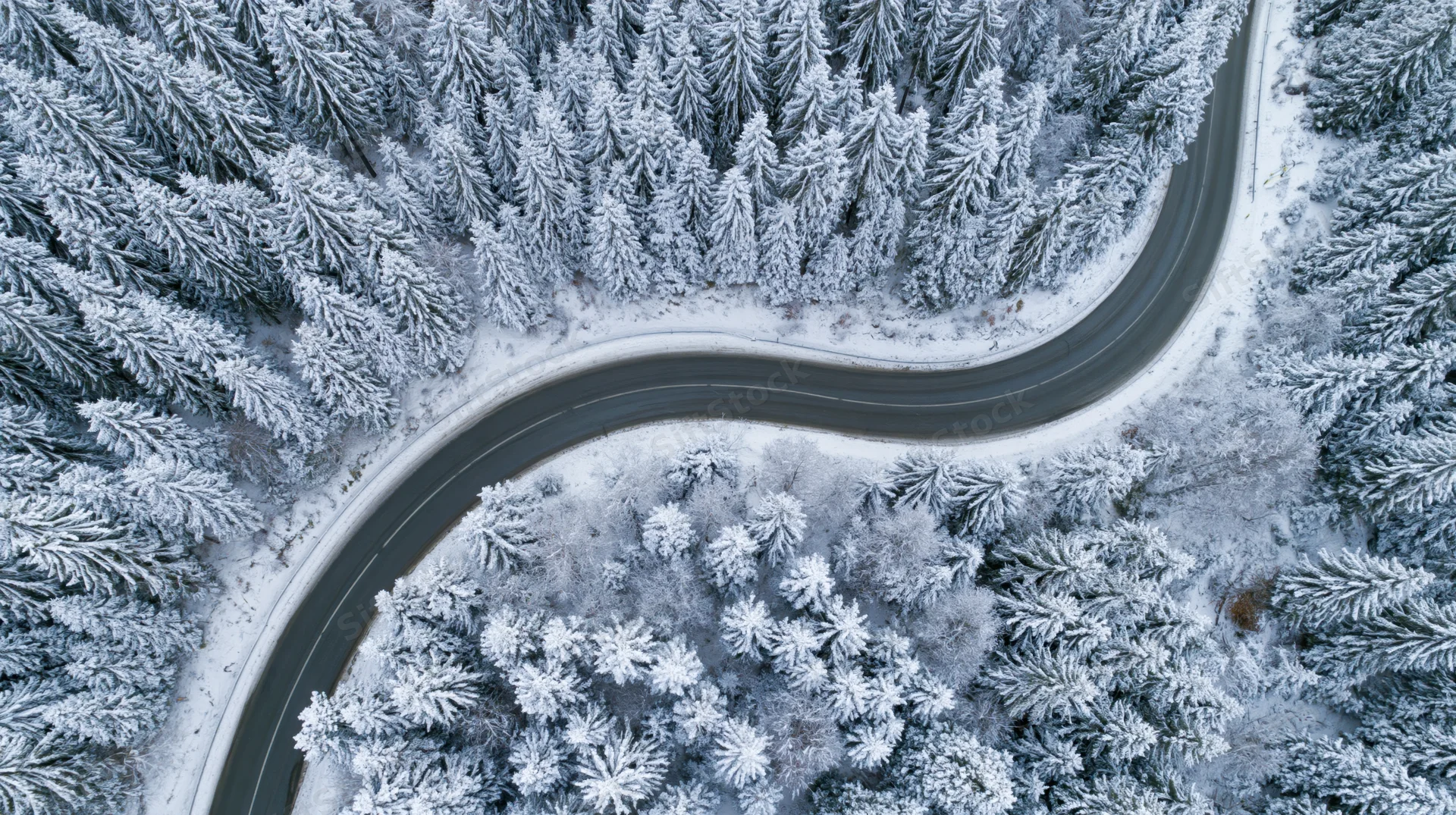 Winding road through snow-covered pine forest from aerial view