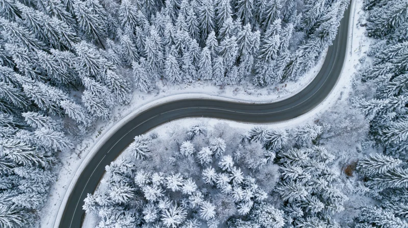 Winding road through snow-covered pine forest from aerial view