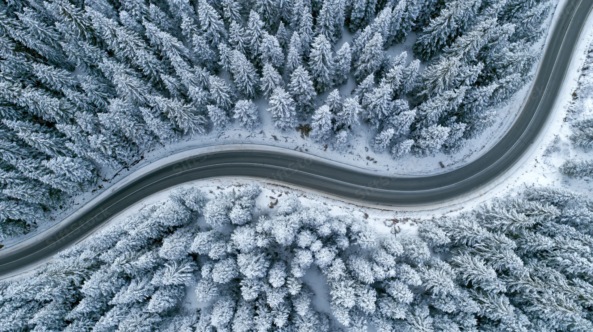 Winding road cutting through snow-covered pine forest from above