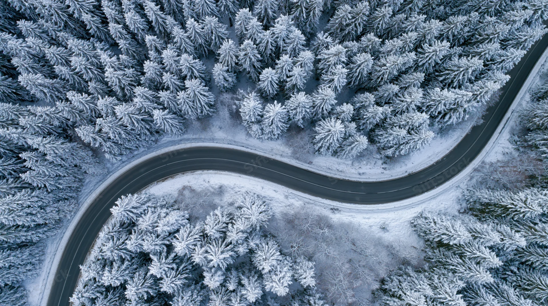 Winding road through snow-covered pine forest from aerial top-down view