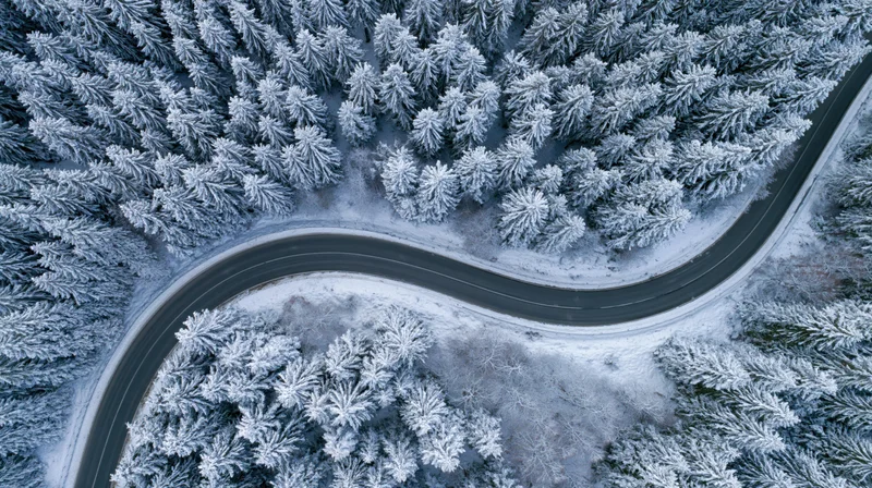 Winding road through snow-covered pine forest from aerial top-down view