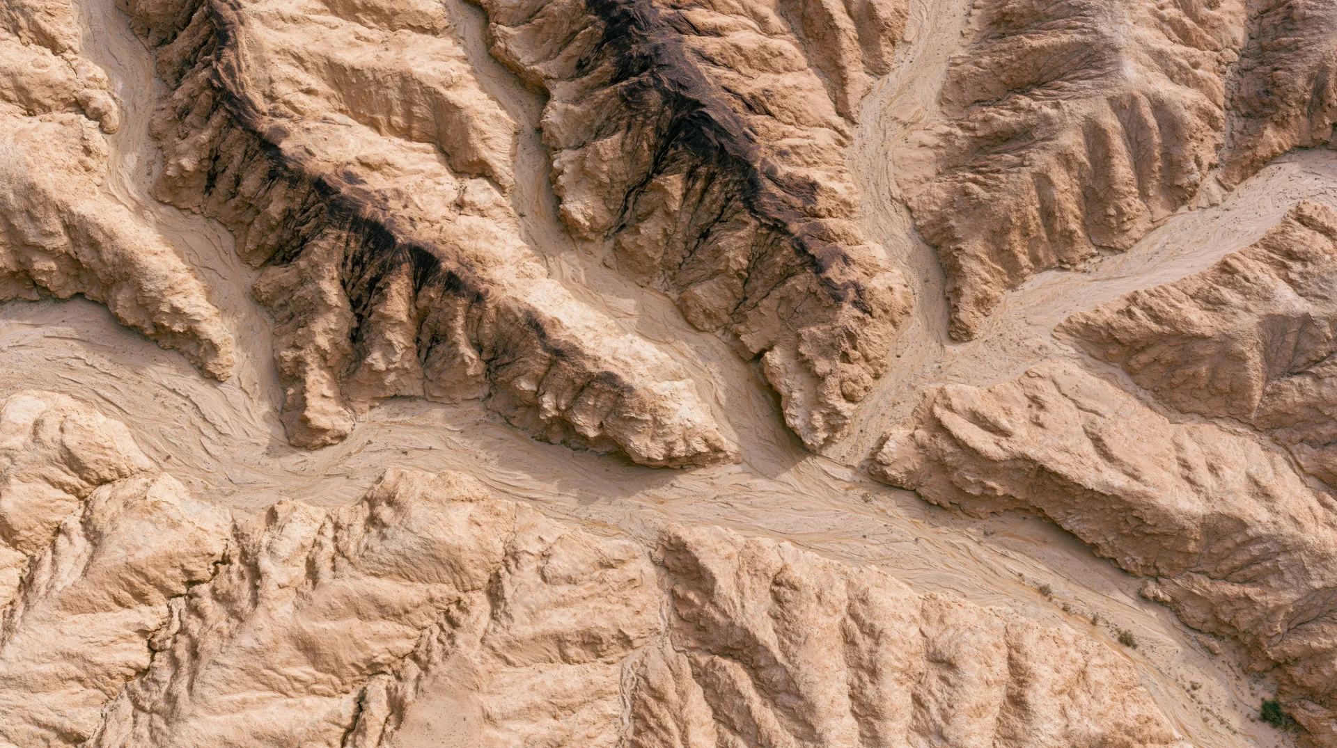 Aerial top-down view of arid desert canyon system with braided erosion patterns and exposed sedimentary rock layers
