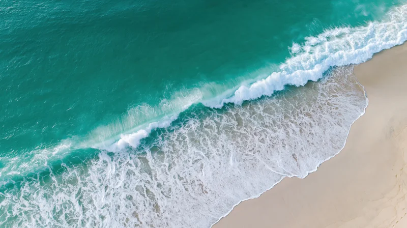 Aerial top-down view of ocean waves breaking onto a wide sandy beach