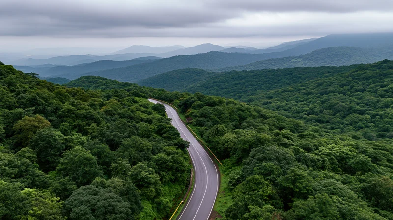 Winding asphalt road curving through dense green forest with distant mountains under overcast sky