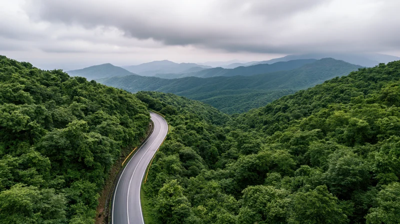 Winding asphalt road curving through dense green forested mountains under cloudy sky