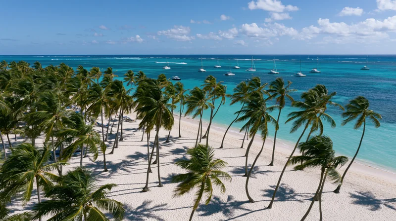 Aerial view of palm trees lining a white sand beach beside turquoise ocean with sailboats in the distance