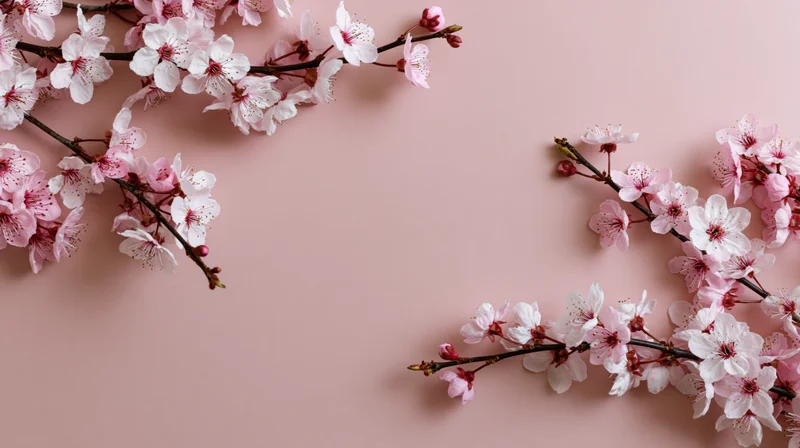 Cherry blossom branches with pink and white flowers arranged in corners on a pink background