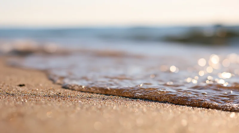 Closeup of wet sand at beach with gentle wave receding under sunlight
