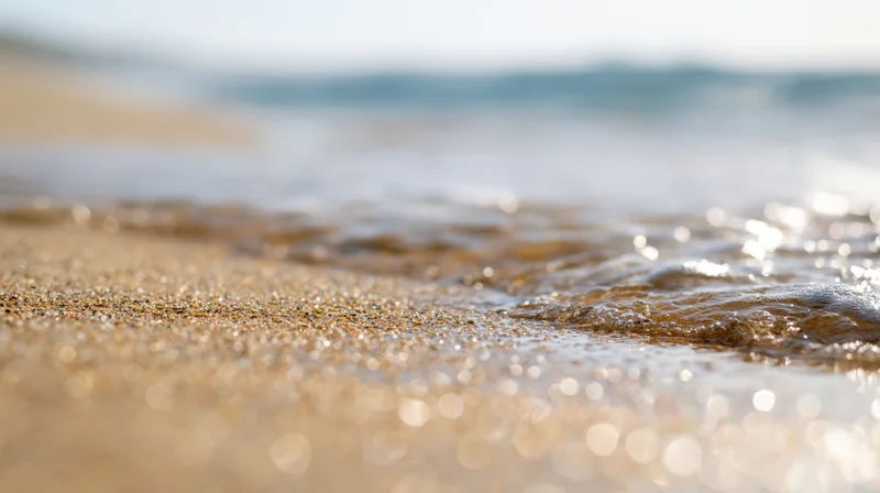 Close-up of wet sandy beach surface in sharp focus small grain