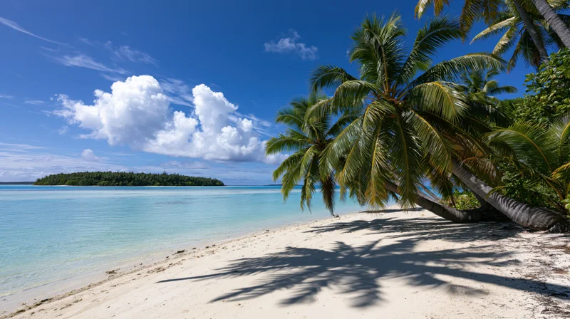 Tropical beach with leaning coconut palms and turquoise water under blue sky