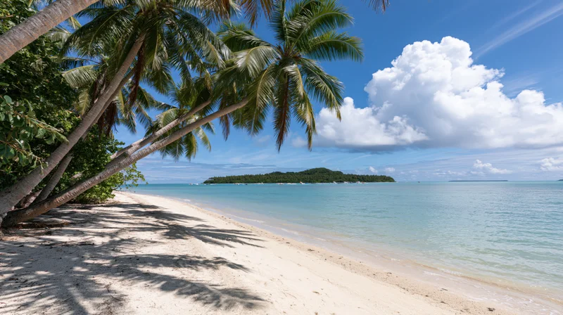 Tropical beach with coconut palms leaning over white sand beside turquoise ocean under blue sky