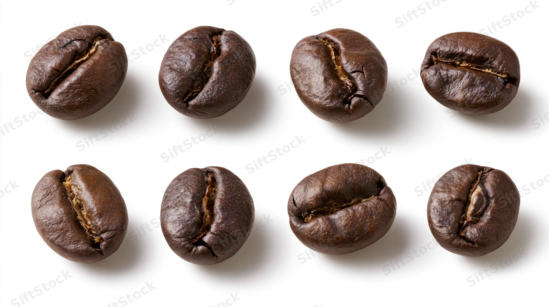 Eight roasted coffee beans arranged in two rows on white background