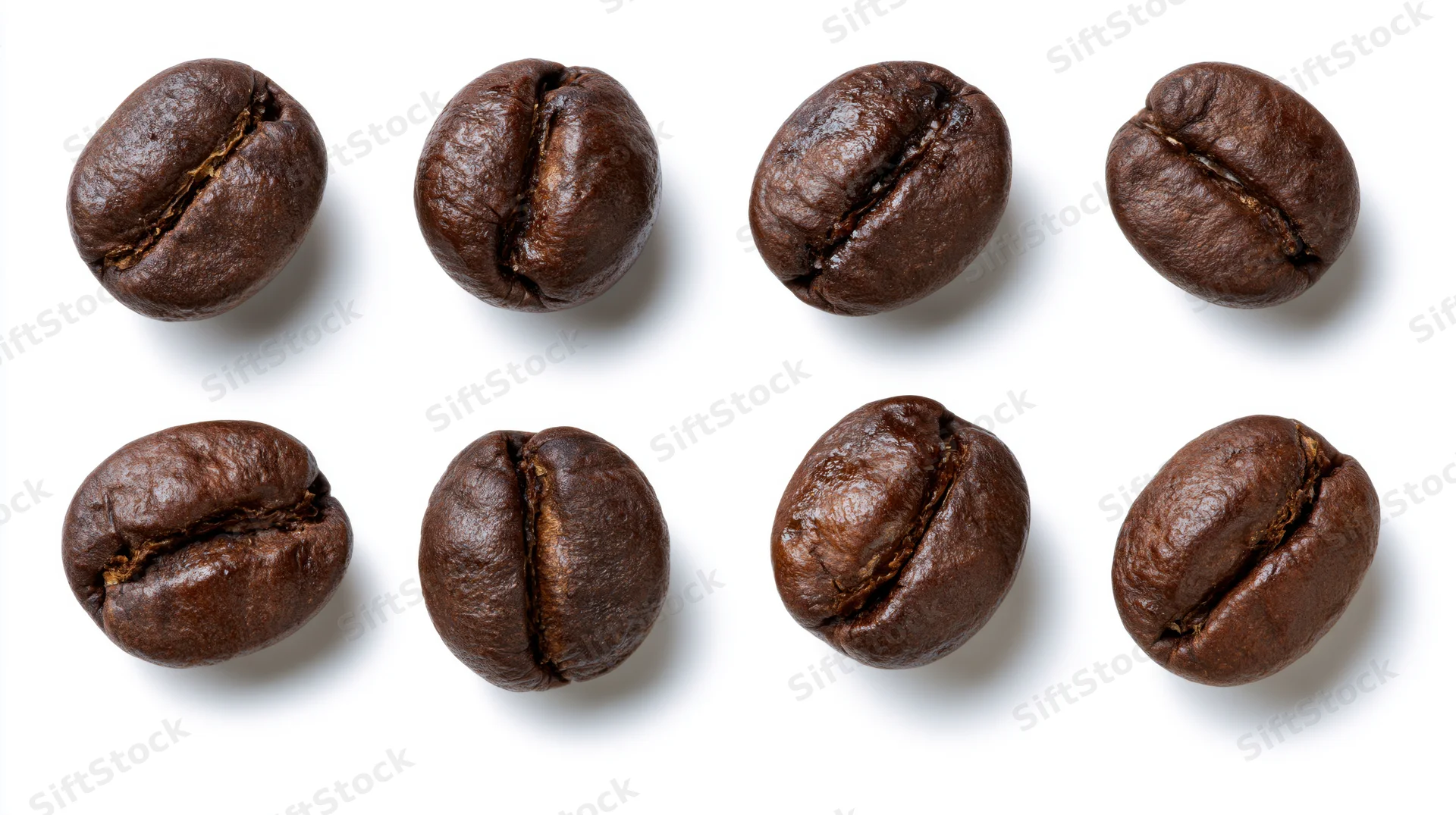 Eight roasted coffee beans arranged in two rows on white background