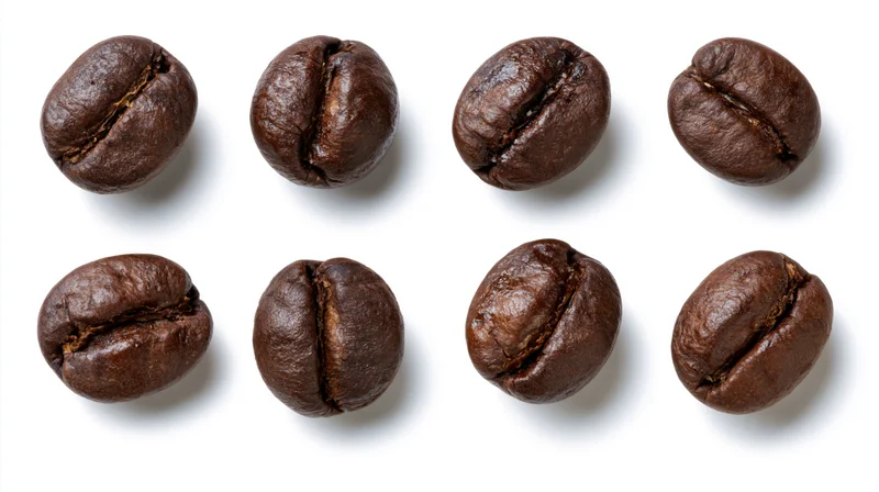 Eight roasted coffee beans arranged in two rows on white background