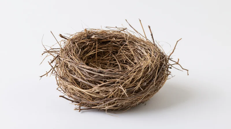 Empty bird nest made of interwoven twigs and dry grass on white background