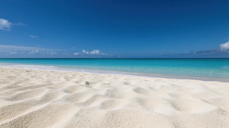 Empty tropical beach with fine white sand in foreground and turquoise ocean under clear blue sky