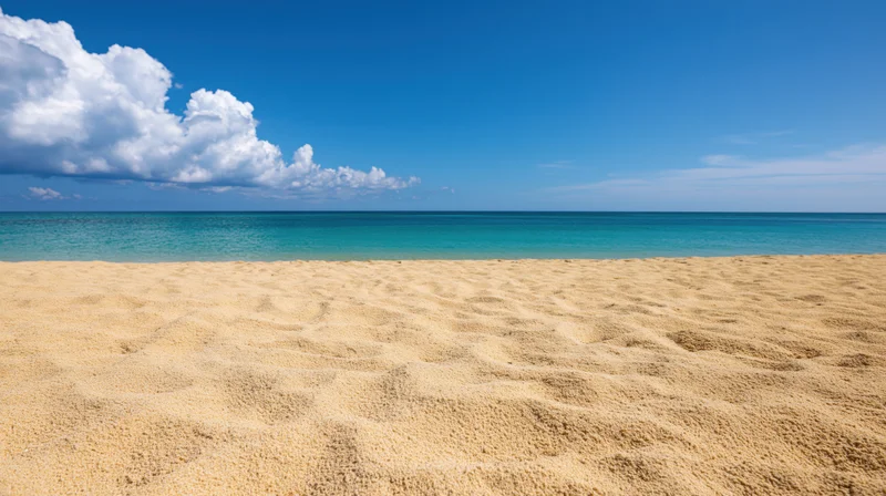 Empty tropical beach with fine golden sand under clear blue sky and turquoise ocean