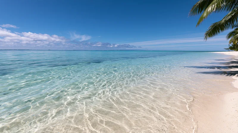 Clear turquoise water lapping onto white sand beach under blue sky with palm fronds overhead