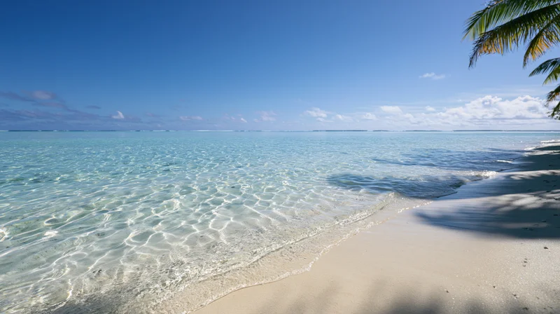 Clear turquoise water gently lapping onto a sandy tropical beach under a blue sky with palm fronds overhead