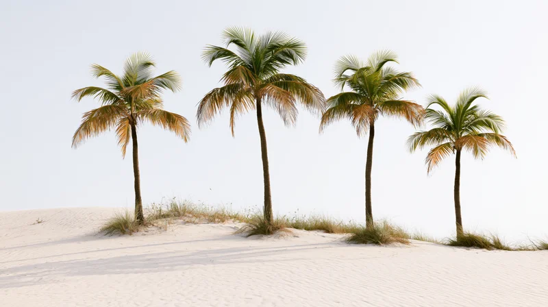 Four coconut palm trees standing on a white sandy dune under a clear sky
