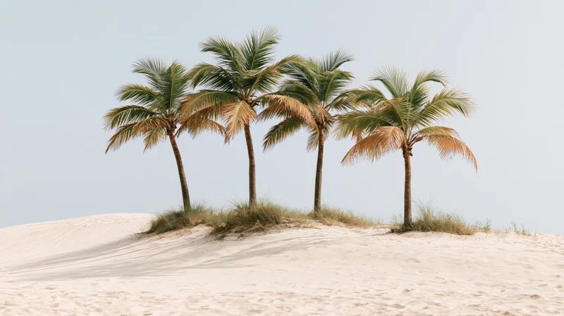 Four coconut palm trees standing on a white sand dune under a clear sky
