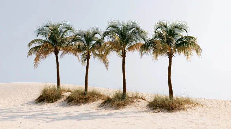 Four coconut palm trees standing in a row on a white sand dune under a clear sky
