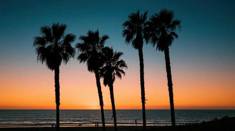 Silhouetted palm trees against a colorful sunset sky over the ocean at twilight