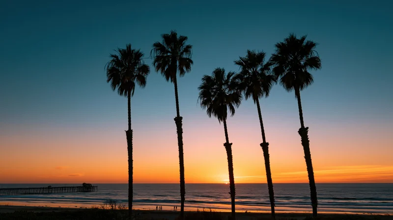 Silhouetted palm trees against a colorful sunset sky over the ocean at a beach with a pier in the distance