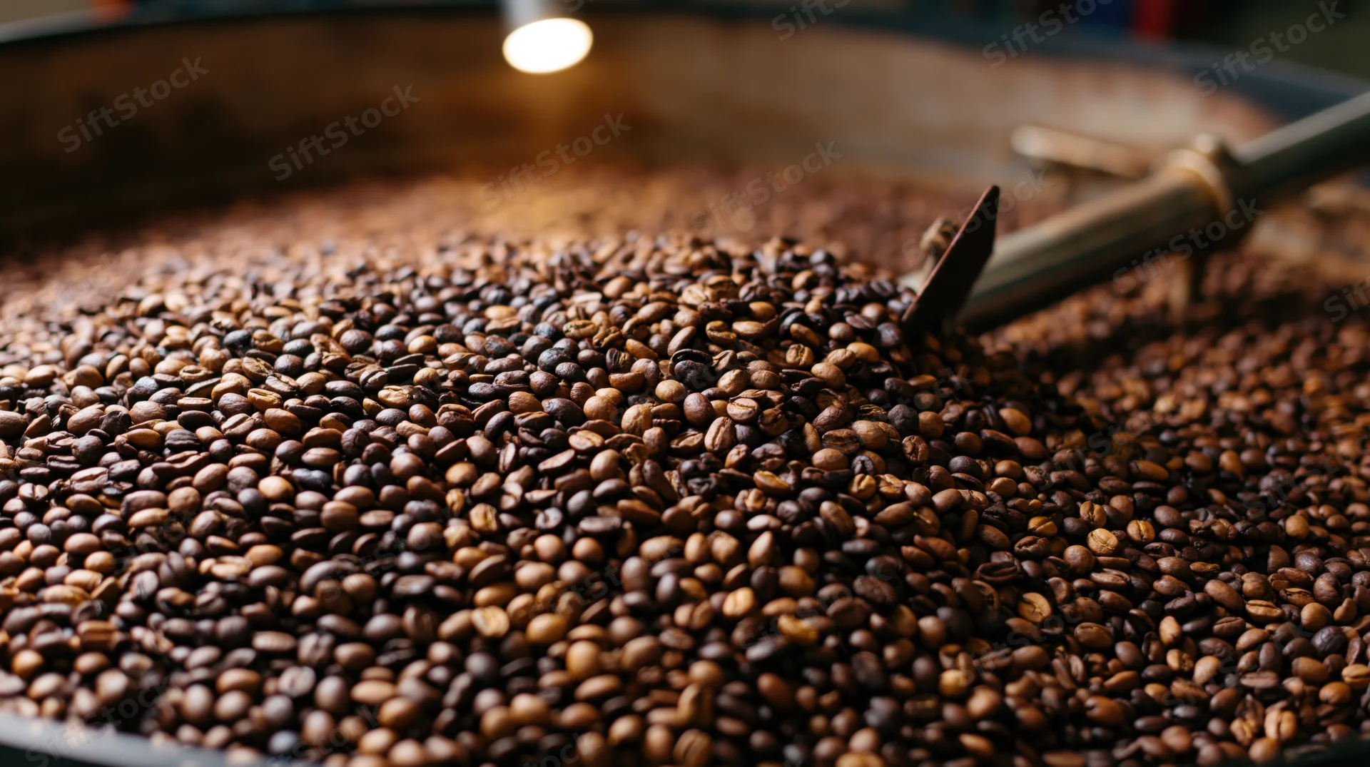 Roasted coffee beans piled in a cooling tray during industrial roasting process