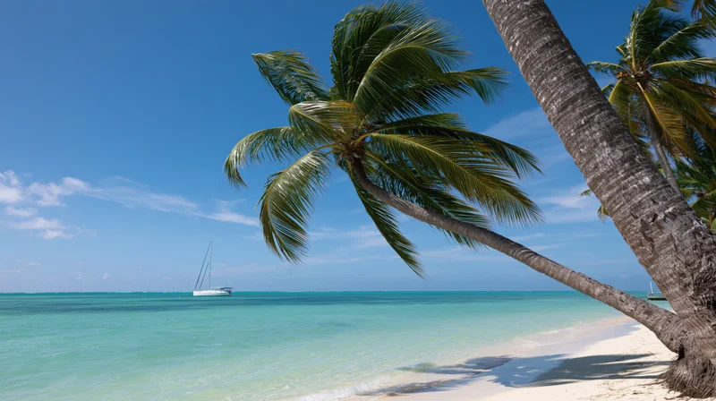 Leaning coconut palm trees overhanging a white sand tropical beach with turquoise water and a sailboat on the horizon