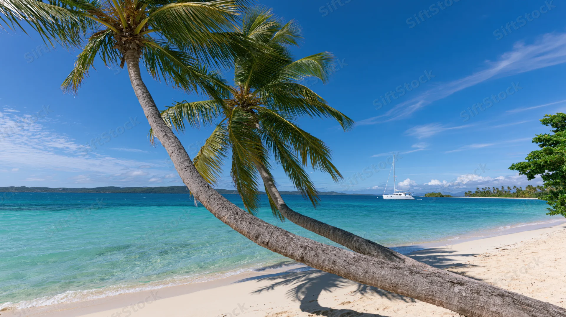 Leaning coconut palm trees over white sand beach with turquoise ocean and sailboat in distance