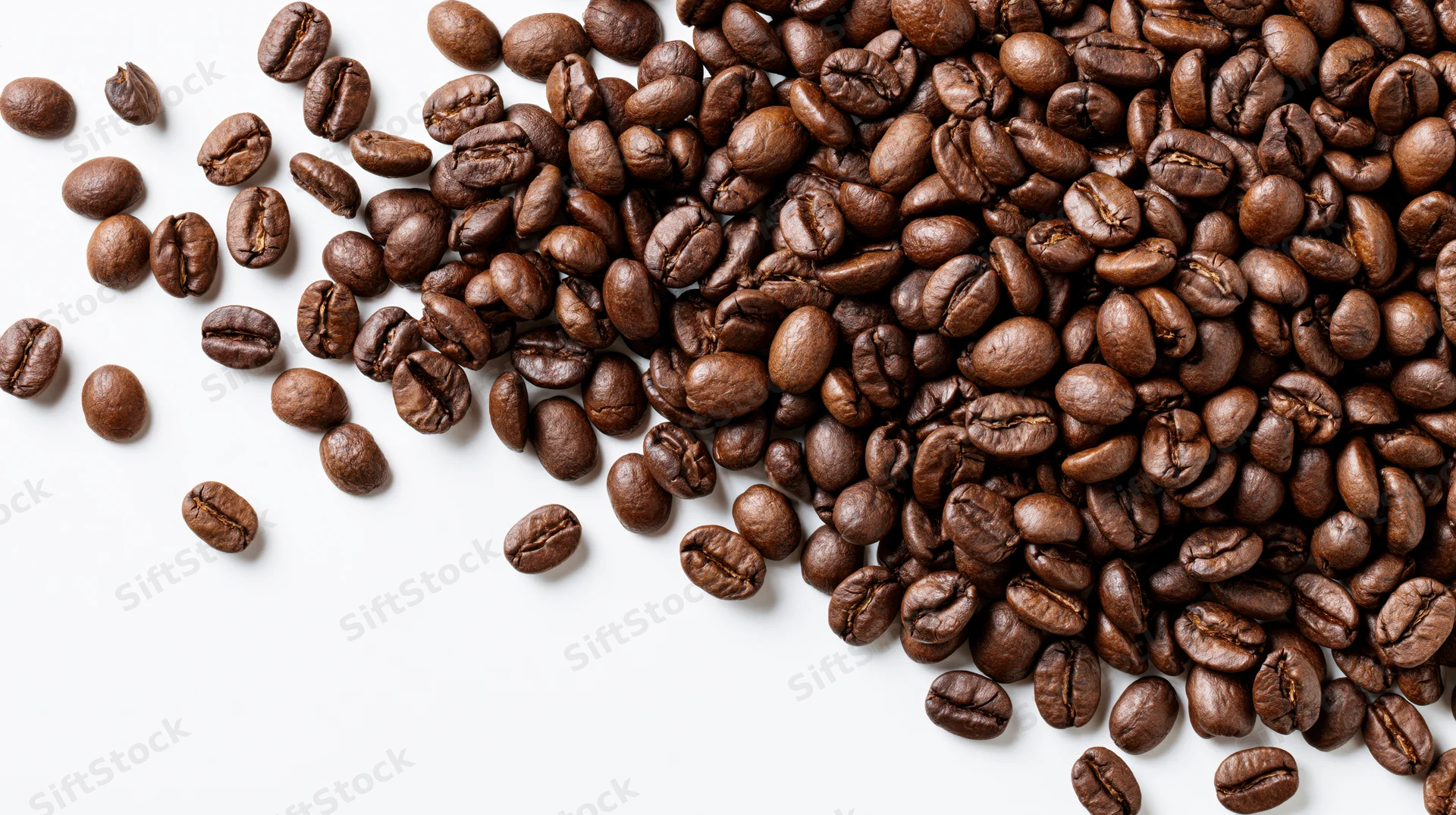 Roasted coffee beans scattered and falling midair on white background