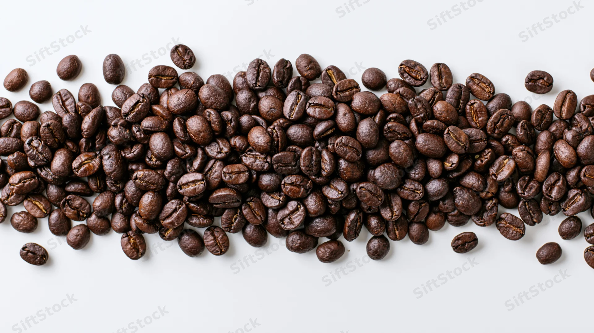 Roasted coffee beans scattered in a horizontal band across a white background