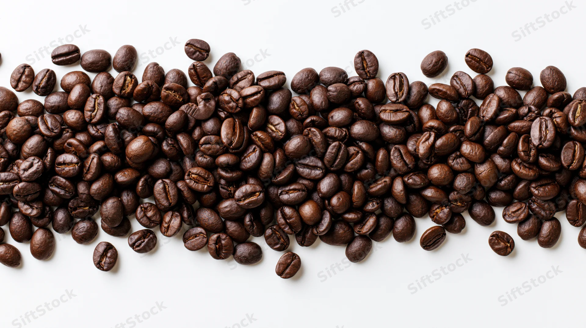 Roasted coffee beans scattered in a horizontal band across a white background
