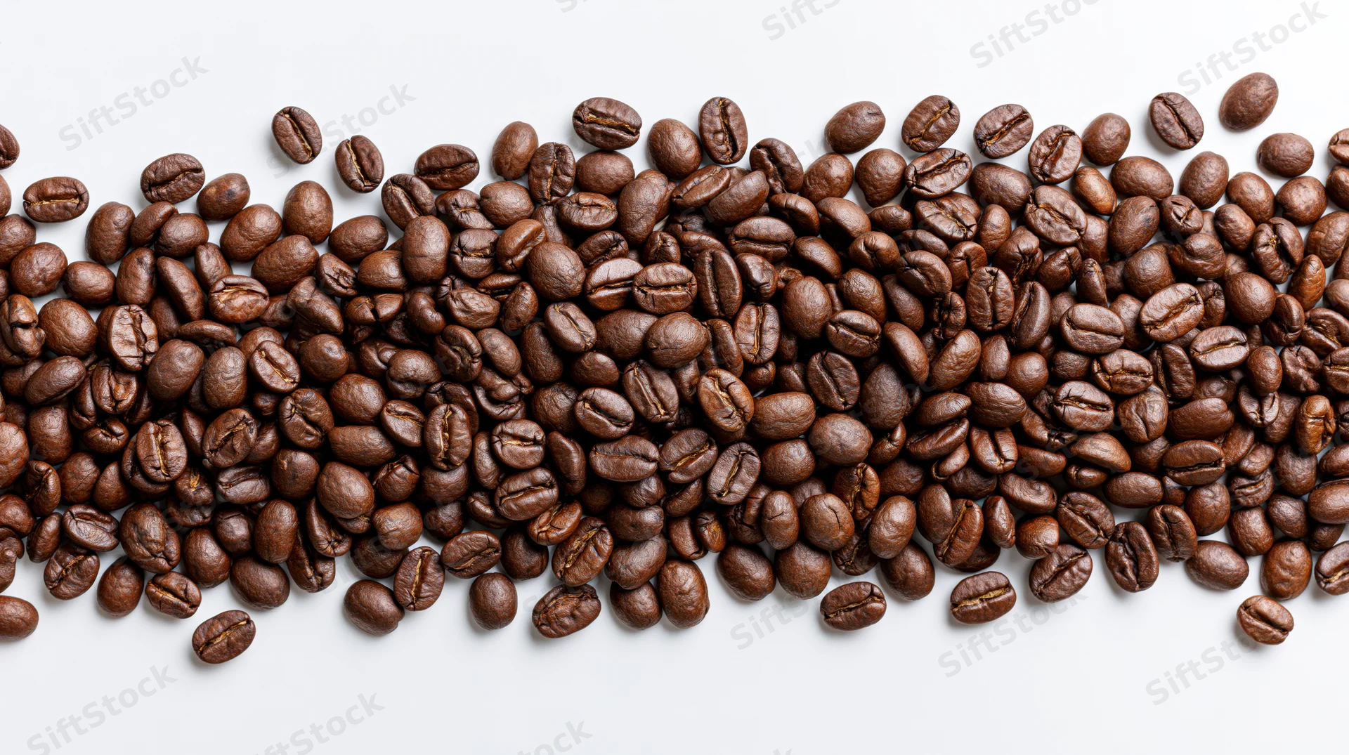 Roasted coffee beans scattered in a horizontal band across a white background