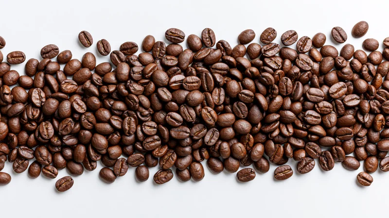 Roasted coffee beans scattered in a horizontal band across a white background