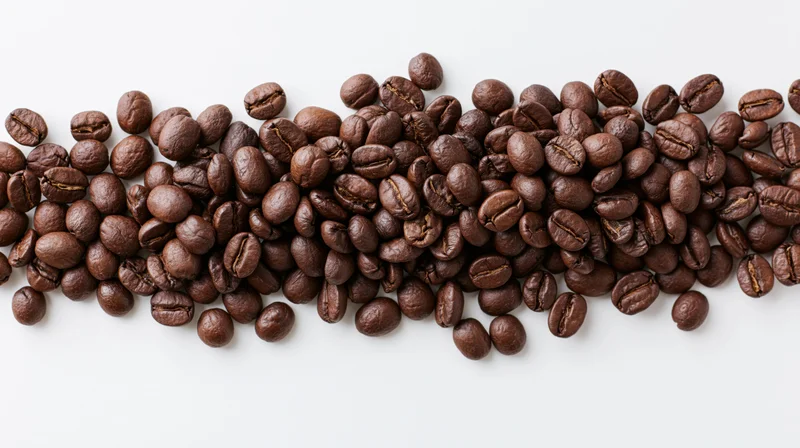 Roasted coffee beans scattered in a horizontal band across a white background