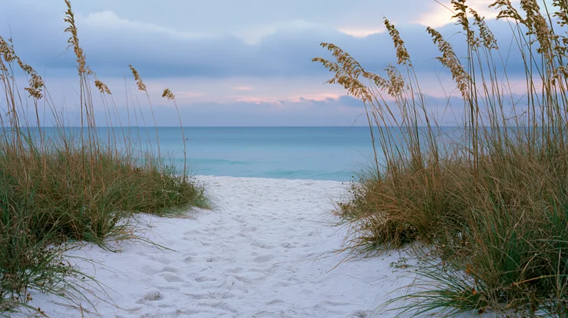 Sandy dune path leading to calm ocean at twilight framed by beach grass