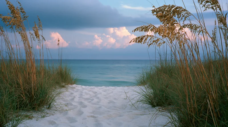 Sandy dune path leading to calm ocean framed by beach grass at dusk