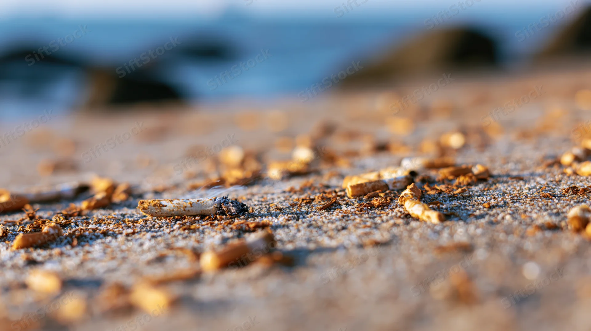 Cigarette butts and ash scattered across sandy beach near ocean