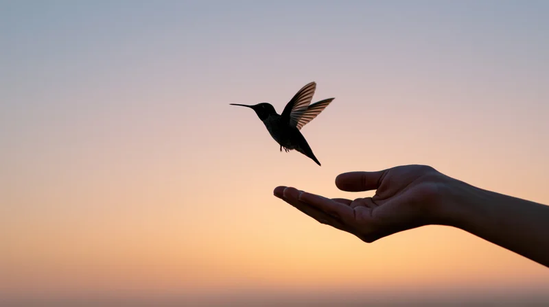 Hummingbird lifting off from an outstretched hand against a sunset sky