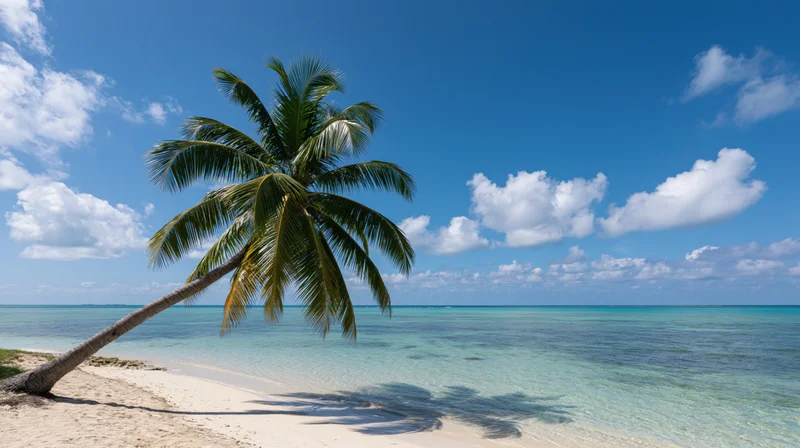 Leaning coconut palm tree on white sand beach beside turquoise ocean under blue sky with clouds