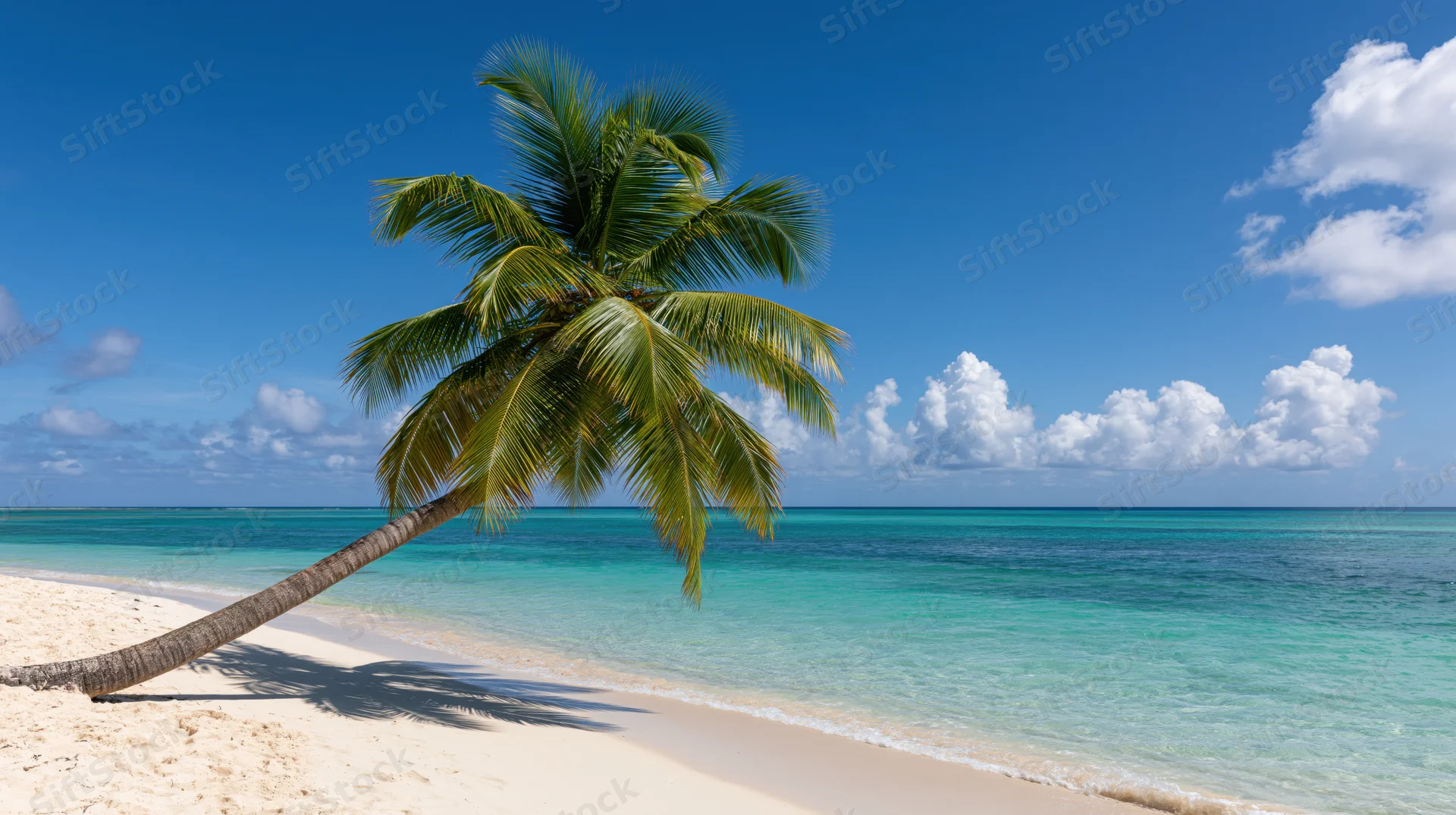 Leaning coconut palm tree on white sand beach beside turquoise ocean under blue sky