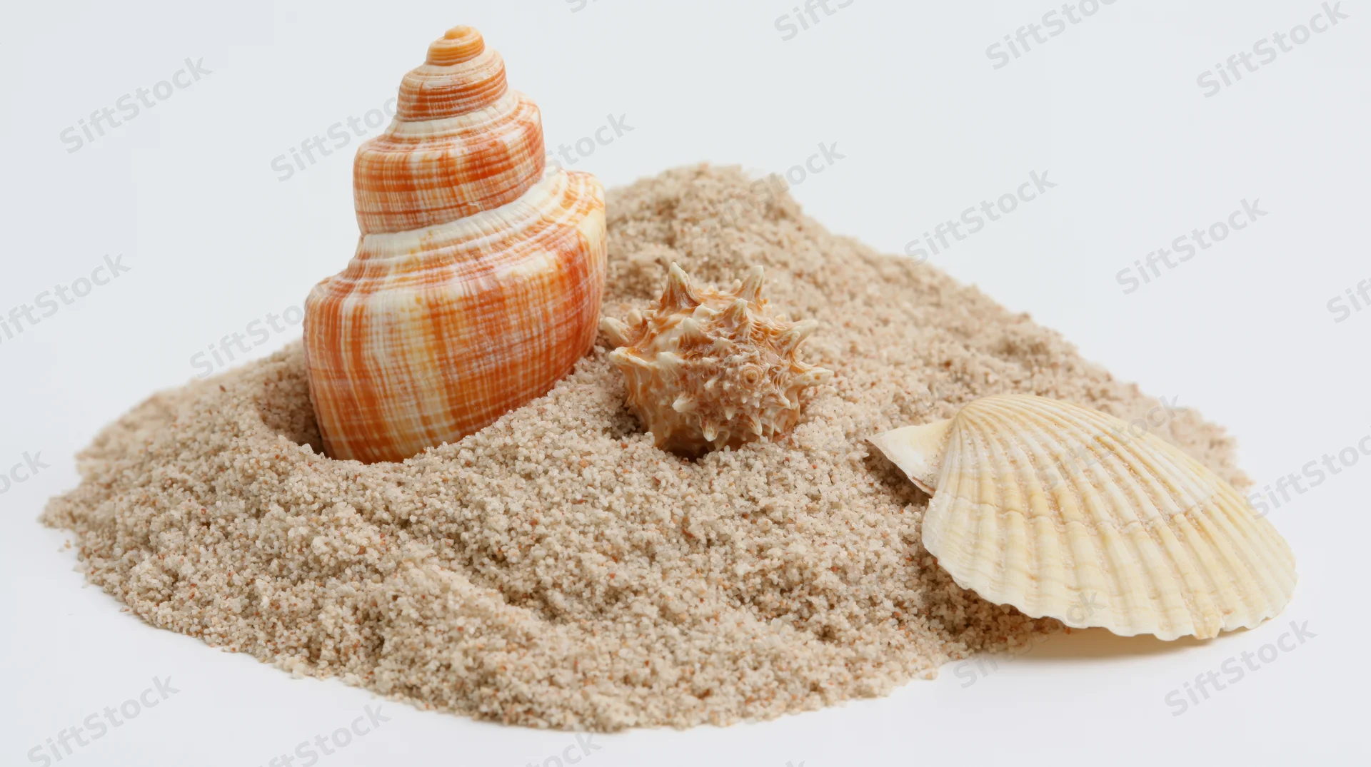 Three seashells resting on a small pile of dry beach sand against white background