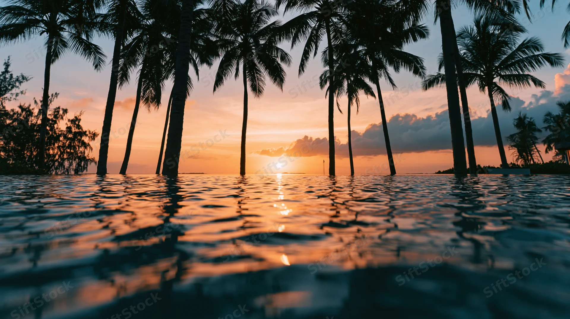 Tropical sunset over ocean framed by palm tree silhouettes at dusk