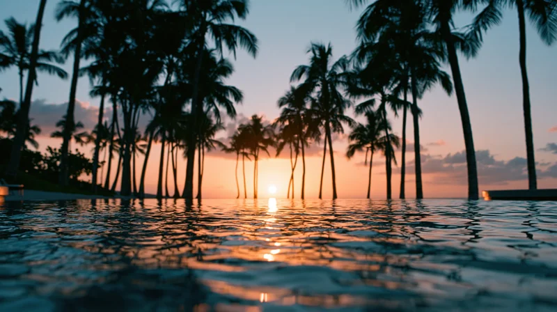 Tropical sunset over calm ocean water with palm tree silhouettes framing the horizon
