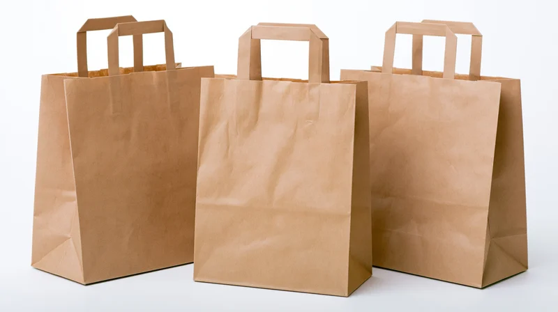 Three plain kraft paper shopping bags with flat folded handles on white background