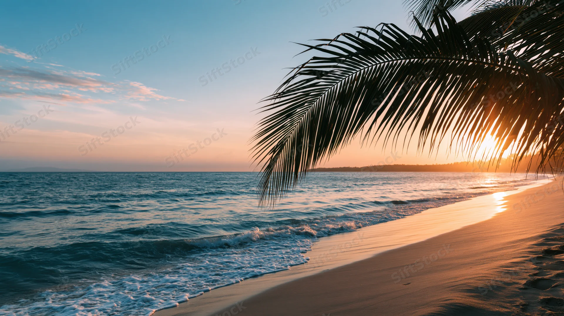 Tropical beach at sunset with palm frond silhouetted against golden sky and calm turquoise waves washing onto sand