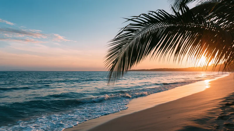 Tropical beach at sunset with palm frond silhouetted against golden sky and calm turquoise waves washing onto sand