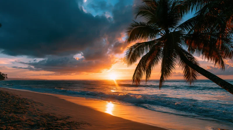 Golden sunset over tropical beach with palm tree silhouette and ocean waves